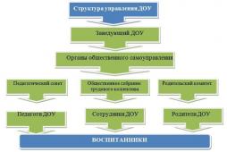 Структура управления ДОУ 103